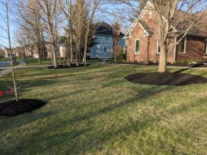 Freshly mulched yard